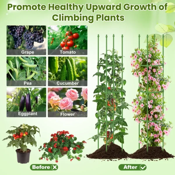Product afbeelding