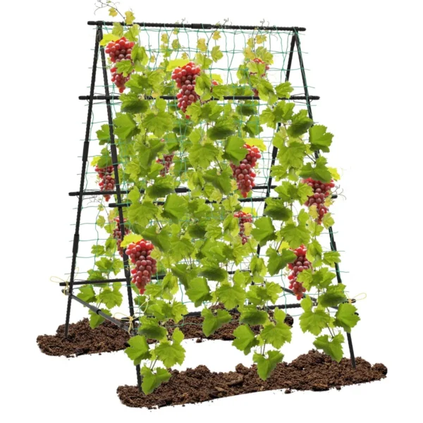 A-Vormige Komkommer Klimrek Met Tuinnet En Plantenclips Metalen Plantenhouder Klimrooster 130 X 105 X 151 Cm