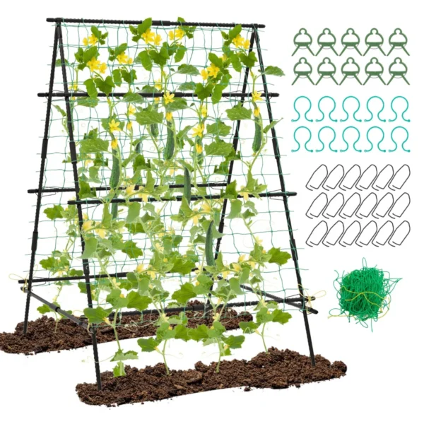 Product afbeelding