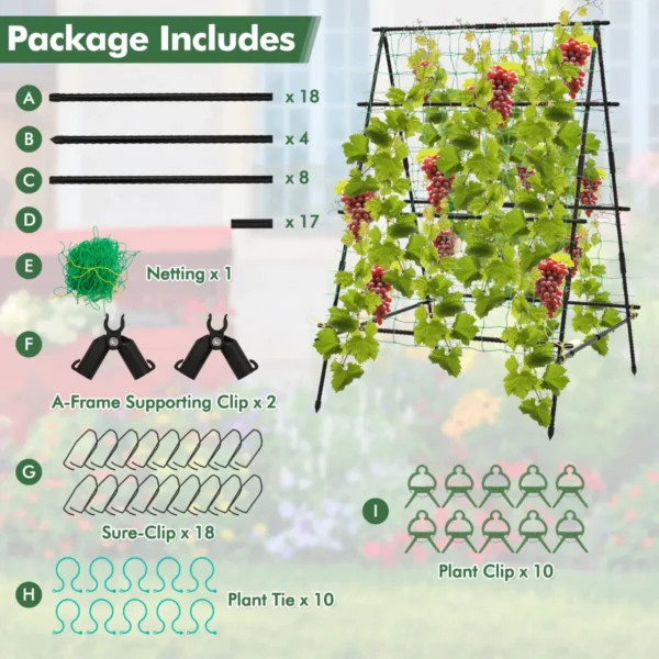 Product afbeelding